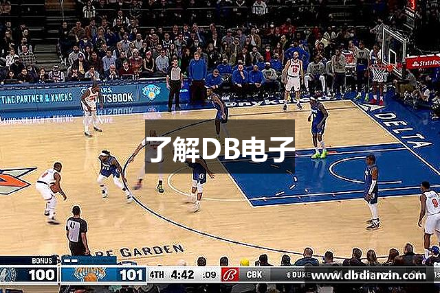 了解DB电子